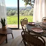 Maison Chaban Sur ساناري سور مير