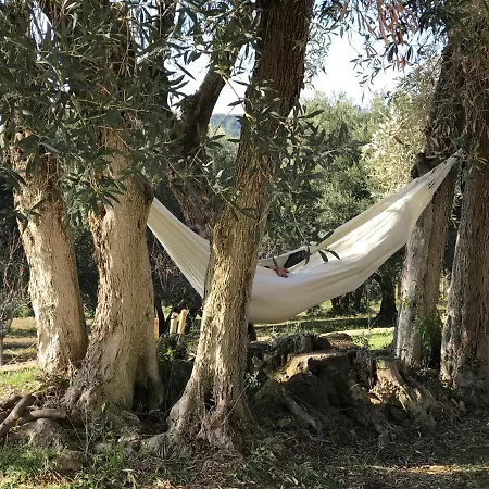 Maison Chaban Sur Pensjonat *